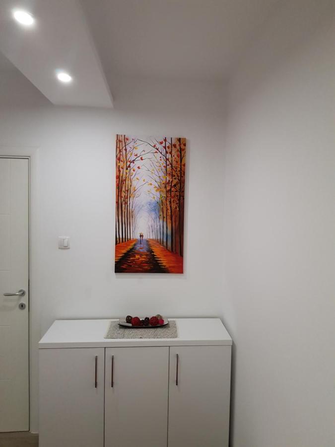 Apartment Gea 18 Novi Sad Exterior foto